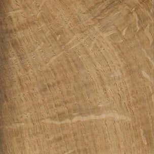 Oak wood sample